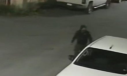 Alertan contra el robo de auto partes en Saltillo