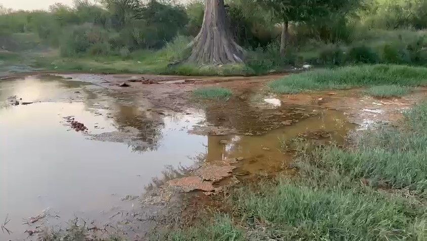 Contamina ‘El pinabete’ al Río Sabinas