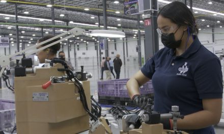 Hay sobreoferta laboral en la Región Sureste