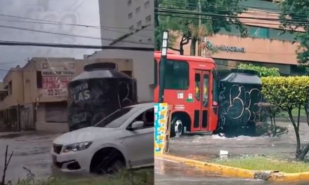 Imagina vivir en Suiza y perderte a un tinaco ‘paseando’  por las calles de Guadalajara