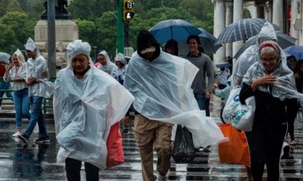 Estos son los estados afectados por la tormenta tropical Fernanda