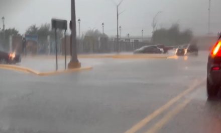 No deja daños tormenta Harold en Coahuila