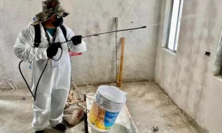 Sin casos de rickettsia en la Carbonífera