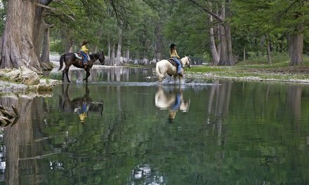 Visitantes gozan de seguridad en Coahuila