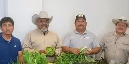 Beneficiarán a 63 productores con 20 toneladas de semilla en Acuña