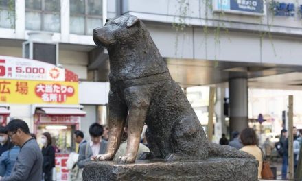 Hachiko, a 100 años del nacimiento del perro más fiel del mundo