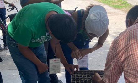 Fomentan la inclusión laboral en Torreón