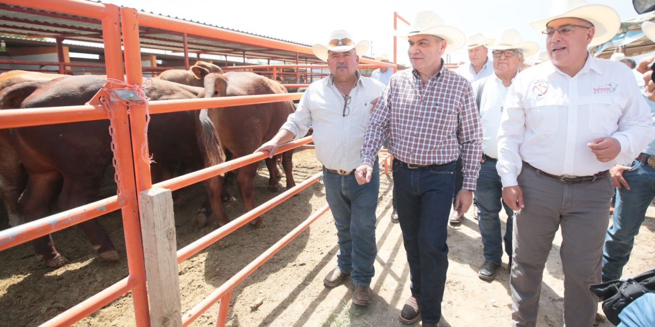 Trabaja Coahuila para exportar ganado
