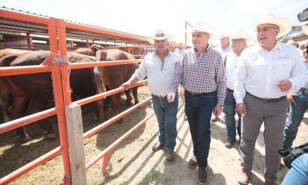 Trabaja Coahuila para exportar ganado