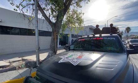 Decomisa PCC cargamento de marihuana en Libramiento Flores Tapia