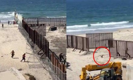 Migrantes… ¡hasta un perro! aprovechan reparación del muro fronterizo para cruzar a EU