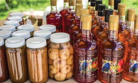 Invitan a formar parte del Festival de la Manzana 2023
