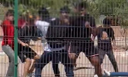 Estudiantes del CBTIS 40 en Sonora apuñalan y golpean a compañero