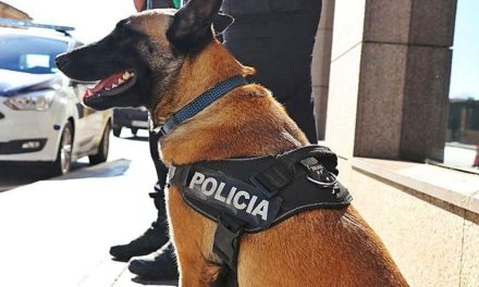 Llevan unidad canina municipal a ejidos de Ramos Arizpe