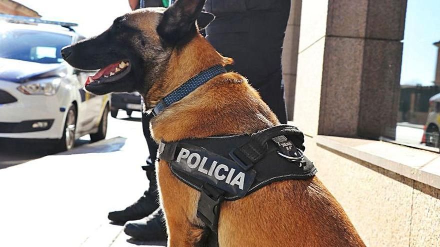Llevan unidad canina municipal a ejidos de Ramos Arizpe