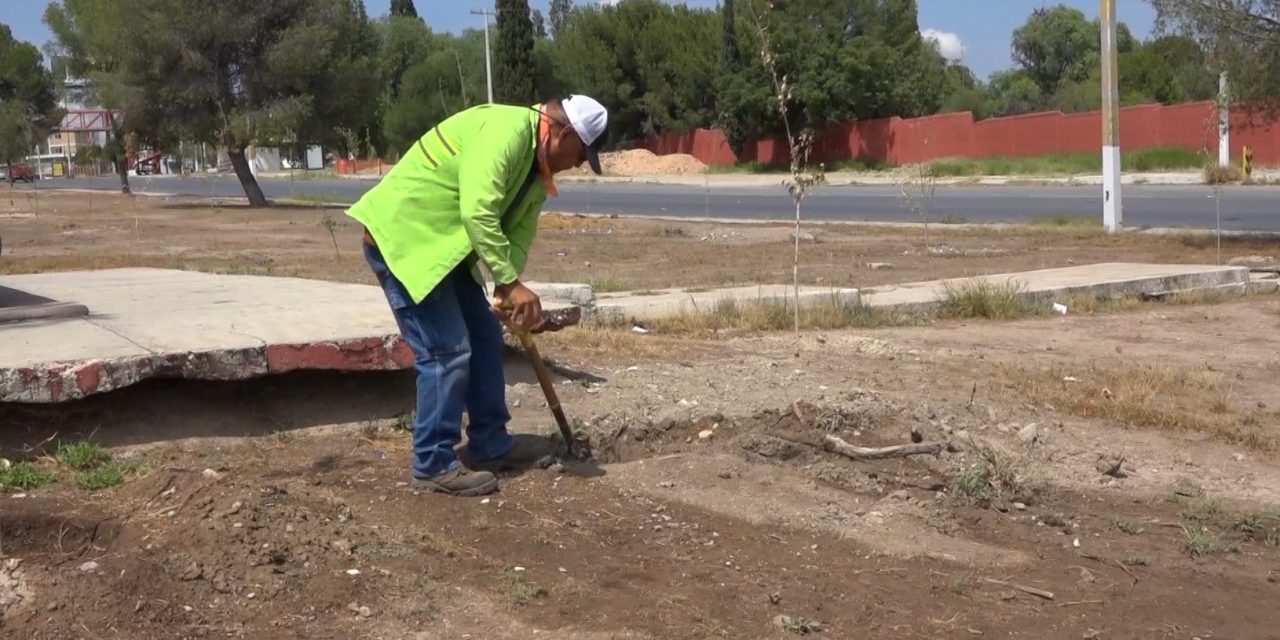 Dan mantenimiento a Paseo de la Reforma en Saltillo