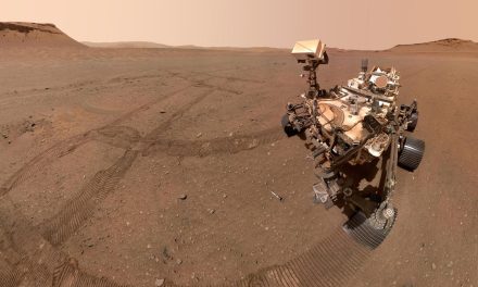 NASA habría matado por accidente formas de vida en Marte