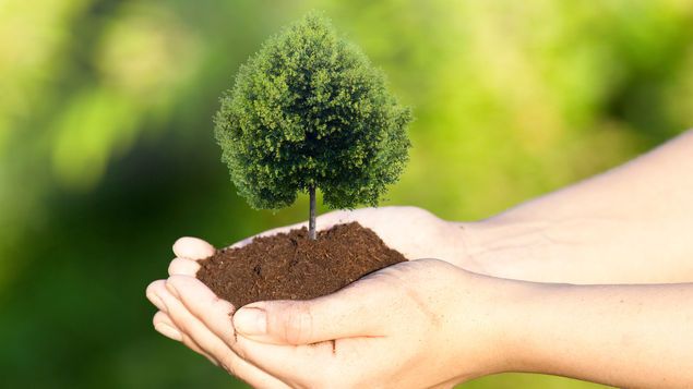 Arranca en Saltillo mes de la reforestación urbana