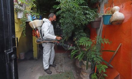Exhorta Salud Municipal a prevenir rickettsiosis