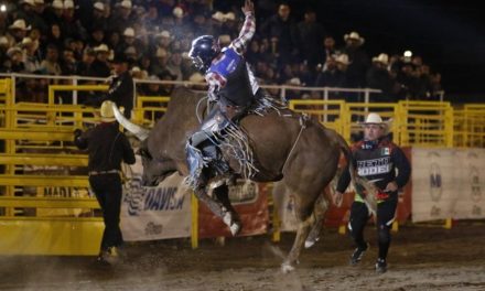 Se acerca el Festival del Rodeo