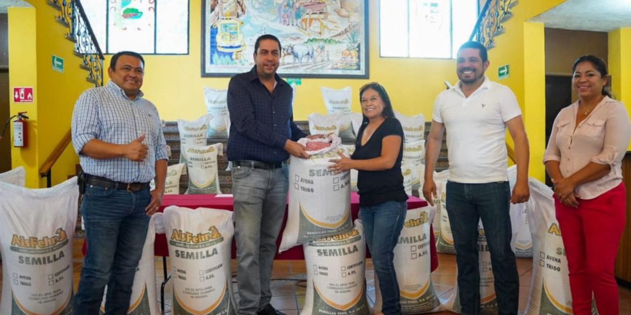 Arranca programa de semilla a bajo costo en Ramos Arizpe