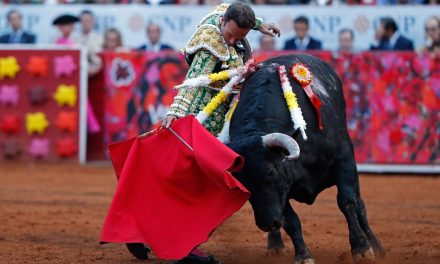Podrían regresar las corridas de toros en la Plaza México