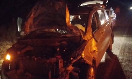 Castaños: Cuatro personas terminan lesionadas luego de atropellar una vaca en carretera