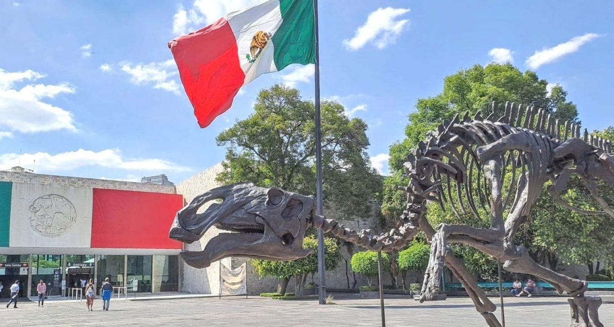 Sabinosaurio llega al Museo de Antropología e Historia