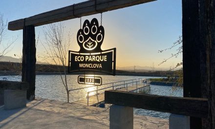 Puma ataca el Zoológico de Monclova