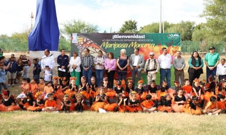 Esperan la llegada de mariposas monarca a Acuña