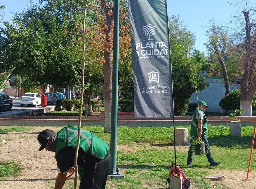 Reforestan con 130 árboles la Plaza del Eco y escuelas de Torreón