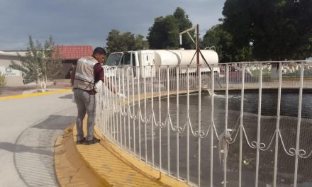 Implementan acciones contra vectores en panteones