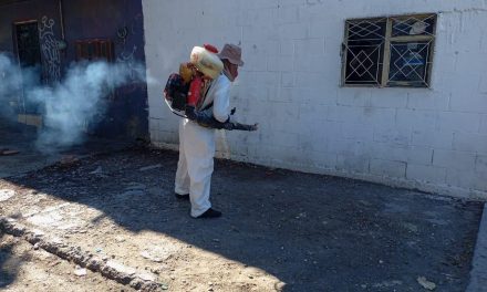 Realizan acciones para prevenir proliferación de mosquitos en Torreón
