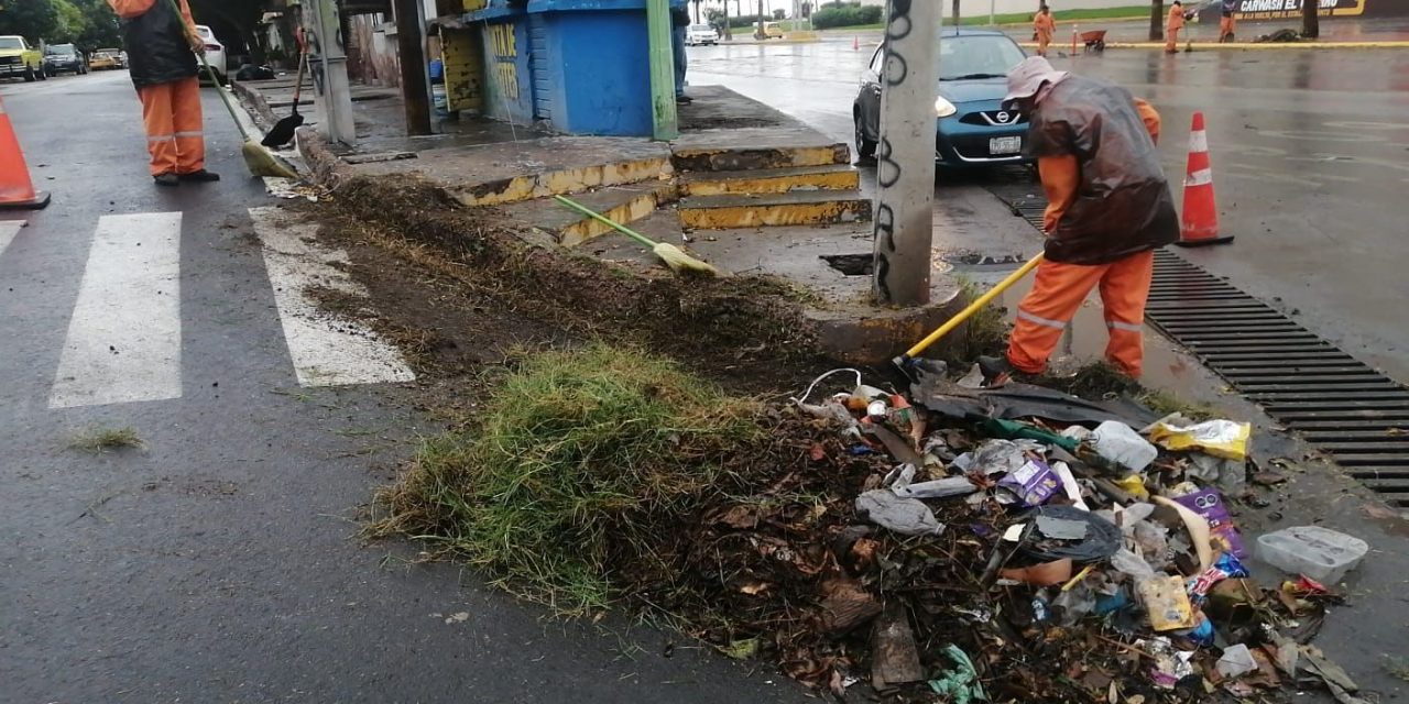 Recoge La Ola 3 toneladas de basura