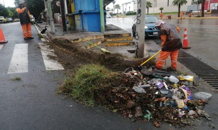 Recoge La Ola 3 toneladas de basura