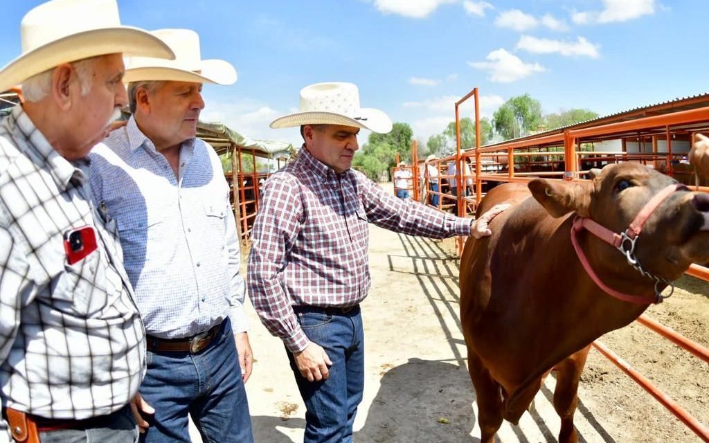 Consigue Coahuila acreditación para exportar ganado