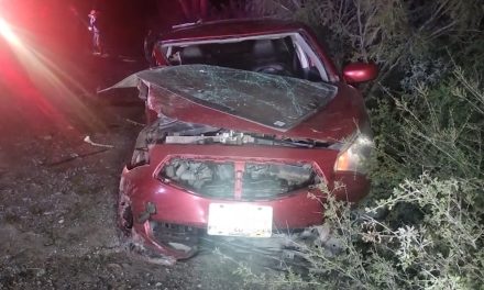 Caballo ocasiona volcadura; deja cuatro personas lesionadas en Parras