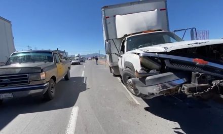 Camión de carga causa daños en el Libramiento Flores Tapia al derribar un poste de madera