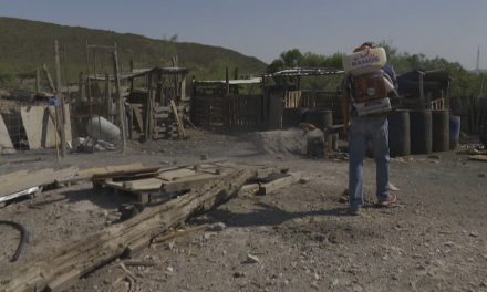 Más de 7 mil viviendas han sido fumigadas en Ramos Arizpe