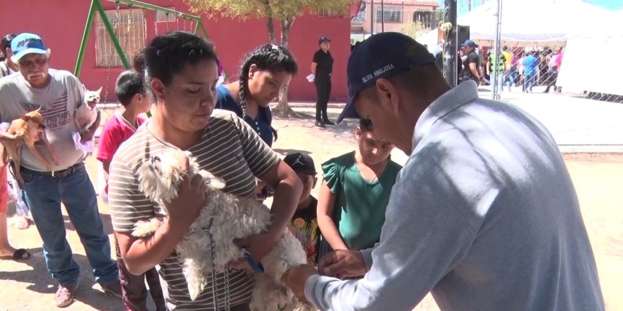 Refuerza Saltillo campaña contra garrapatas
