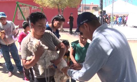 Refuerza Saltillo campaña contra garrapatas