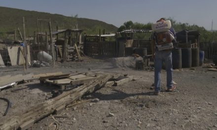 Con acciones preventivas erradican a las garrapatas en Ramos Arizpe