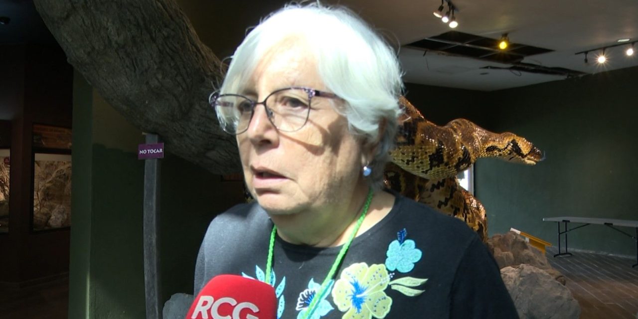 Secretaría del Medio Ambiente emite Manual de convivencia con osos