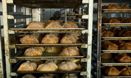 Pan de muerto; una deliciosa tradición y de gran significado