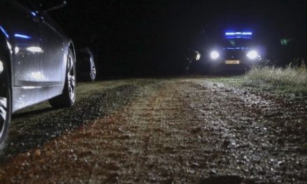 Joven es atacada por una jauría de perros en España y no sobrevive