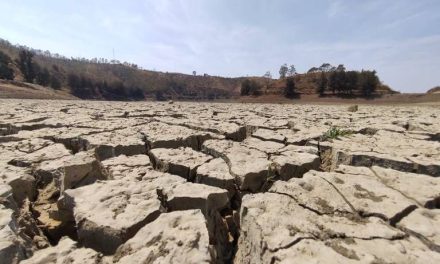 Declaran emergencia por sequía extrema en Chihuahua