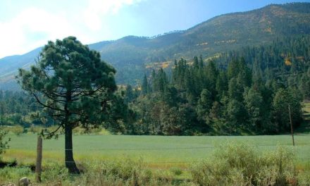 Defraudan a 15 familias en Arteaga Con venta de terrenos irregulares