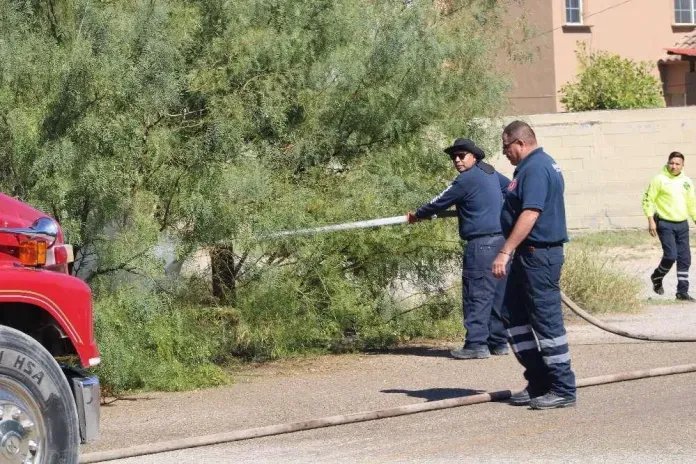 No paran los incendios provocados en Sabinas