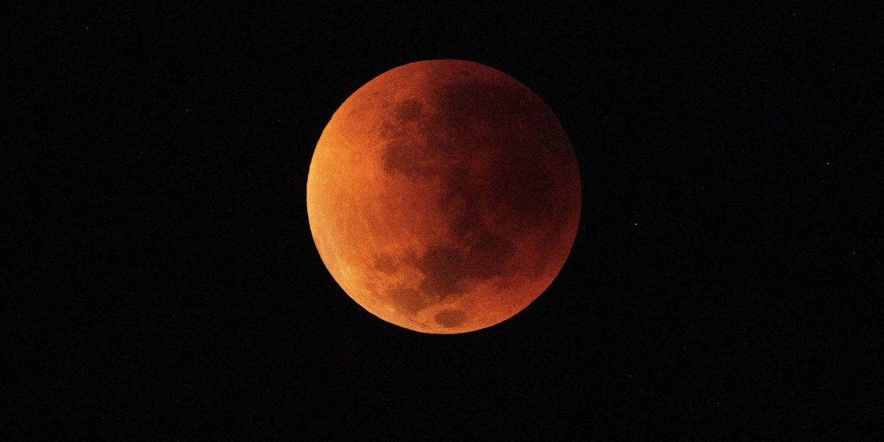 Así lució la Luna de Castor en el cielo de noviembre