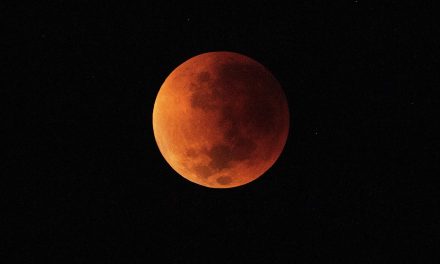 Así lució la Luna de Castor en el cielo de noviembre